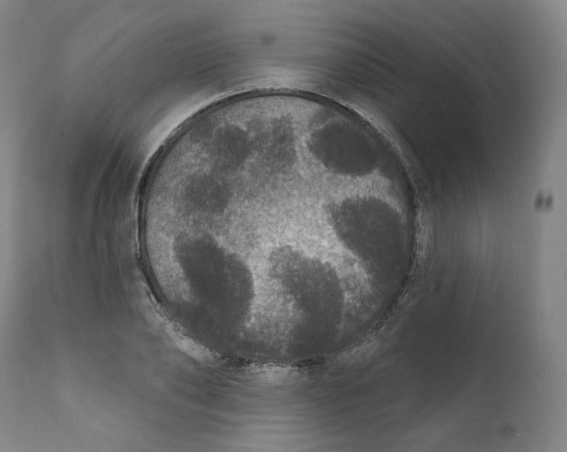 X0000111640886200908071339