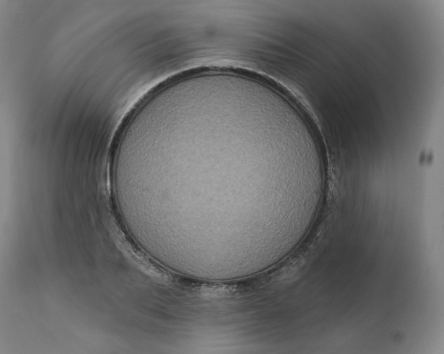 X0000111640887200908071339