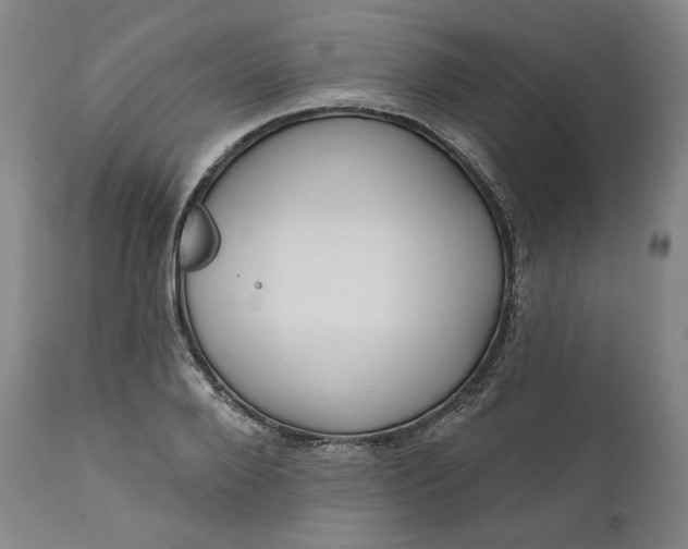 X0000111640888200908071339