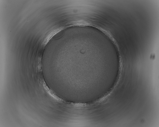 X0000111640889200908071339