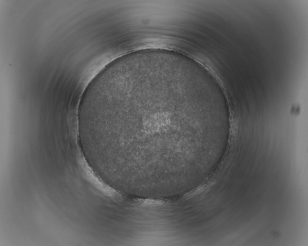 X0000111640890200908071339