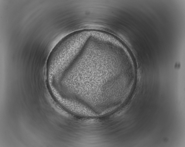 X0000111640891200908071339