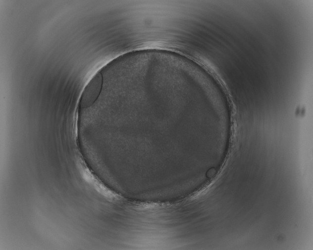 X0000111640892200908071339