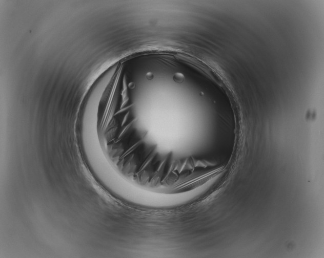 X0000111640893200908071339