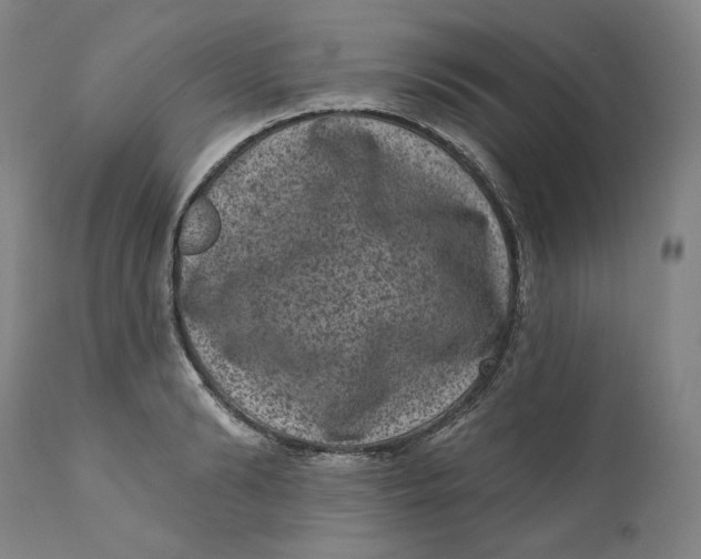 X0000111640894200908071339