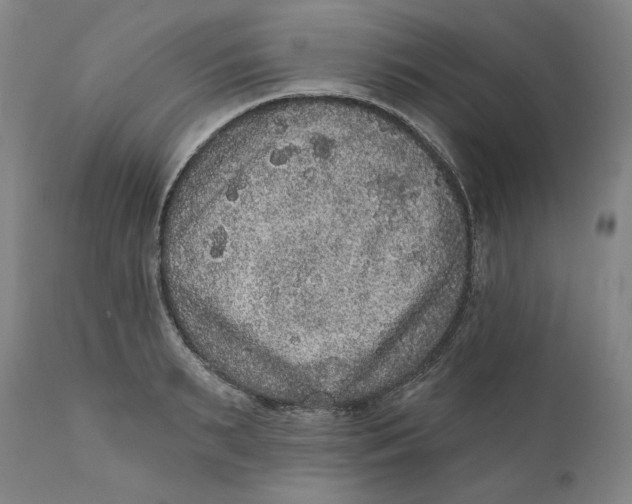 X0000111640895200908071339