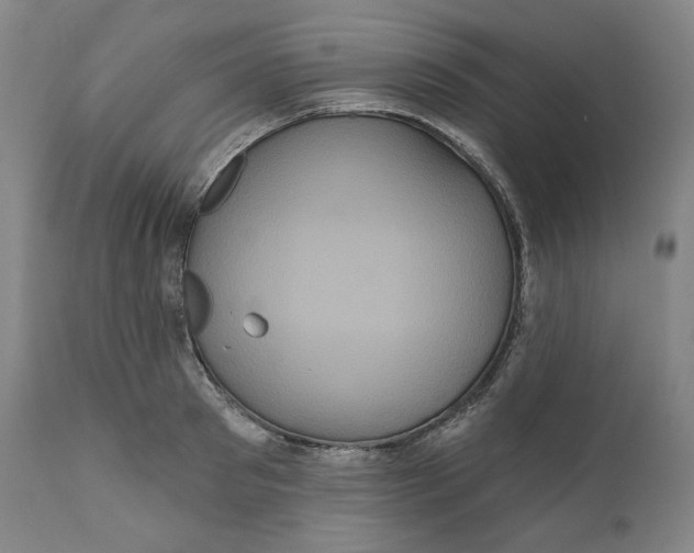 X0000111640897200908071339