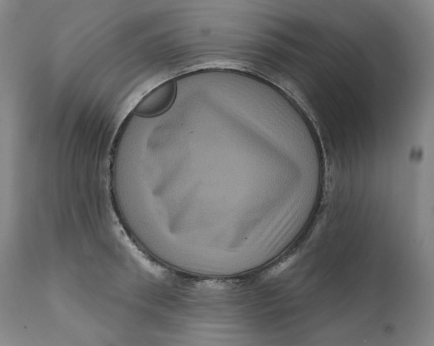 X0000111640898200908071339