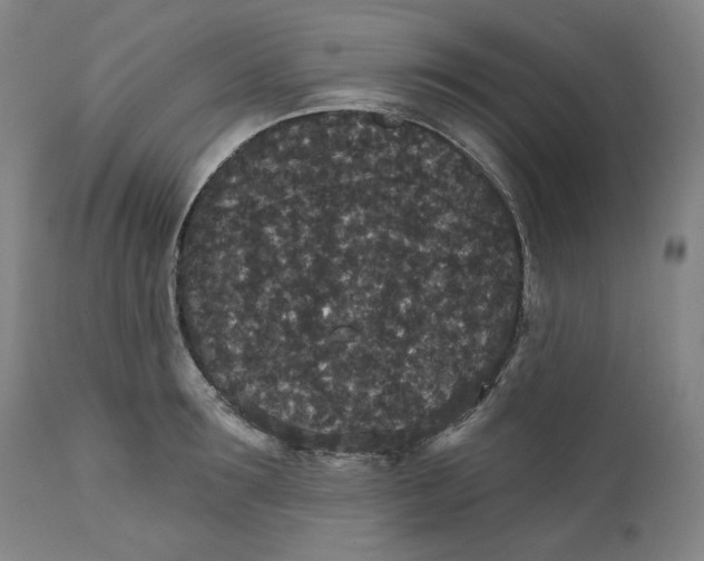 X0000111640899200908071339