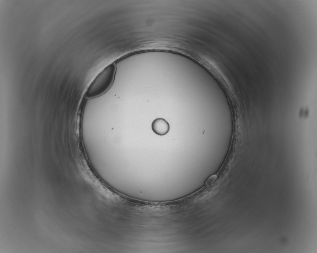 X0000111640900200908071339