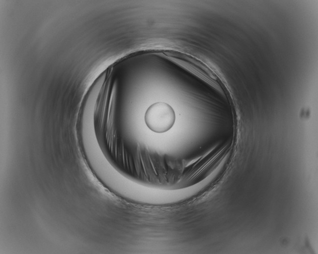 X0000111640901200908071339