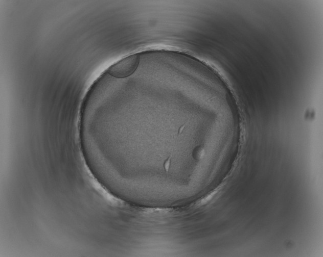 X0000111640902200908071339