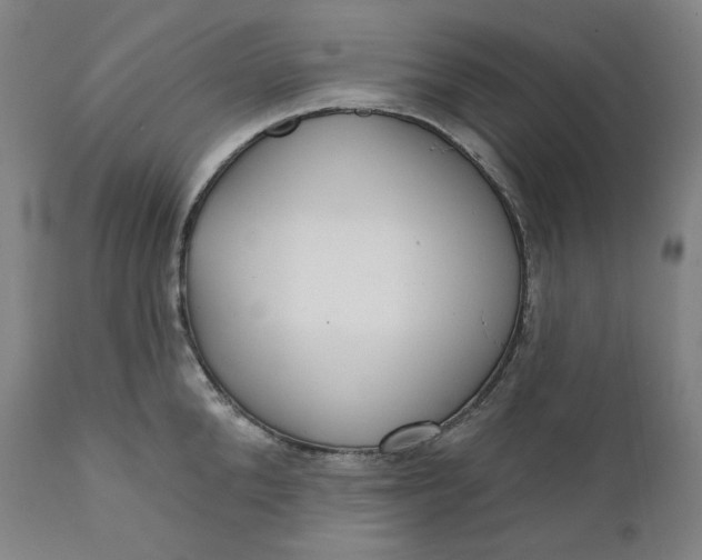 X0000111640904200908071339