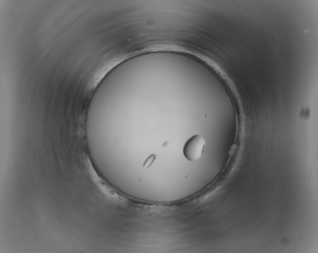 X0000111640905200908071339