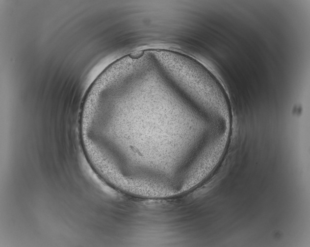 X0000111640906200908071339