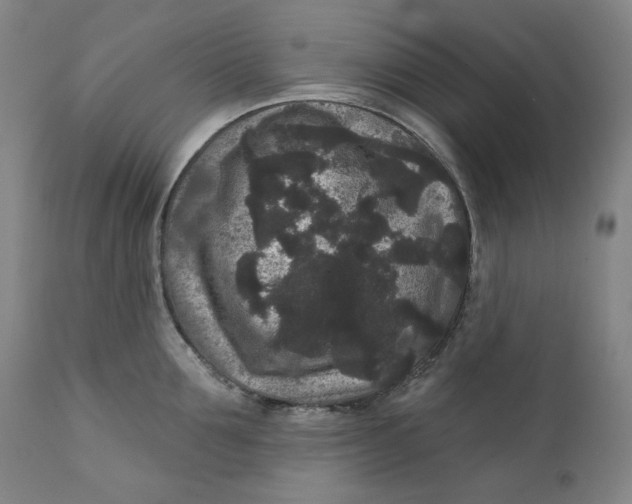 X0000111640907200908071339