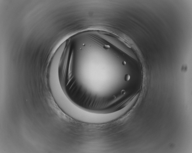 X0000111640908200908071339