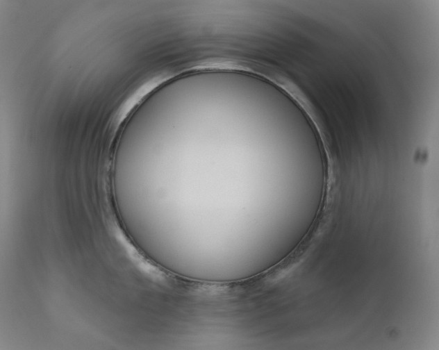 X0000111640909200908071339