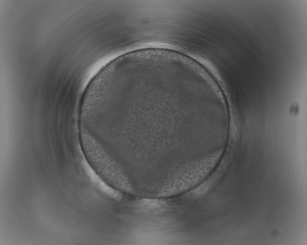 X0000111640910200908071339