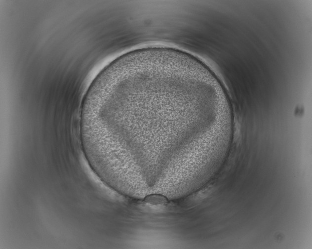 X0000111640911200908071339