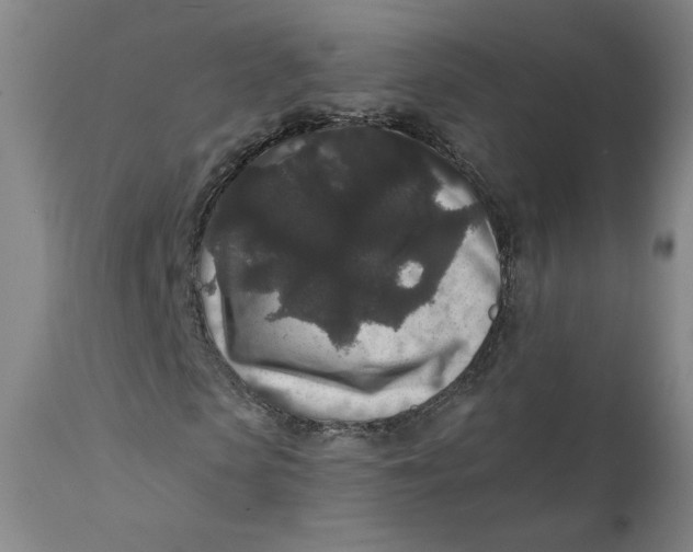 X0000111640913200908071338