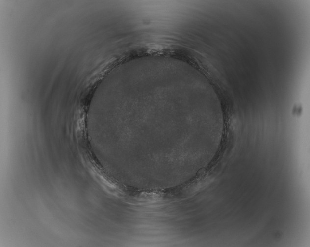 X0000111640914200908071338