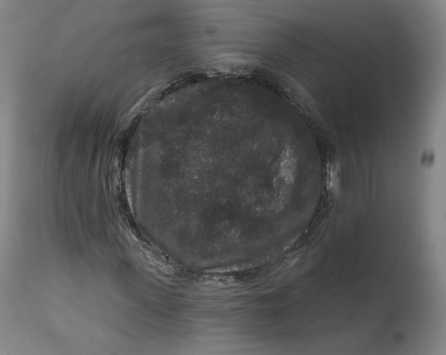 X0000111640915200908071338