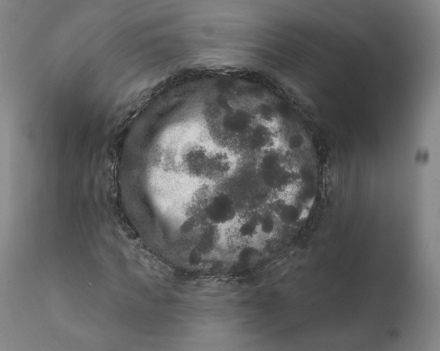 X0000111640917200908071338