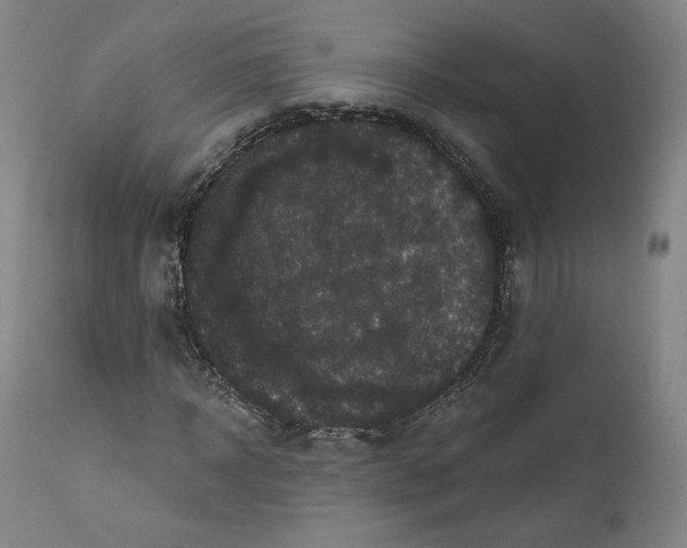 X0000111640918200908071338