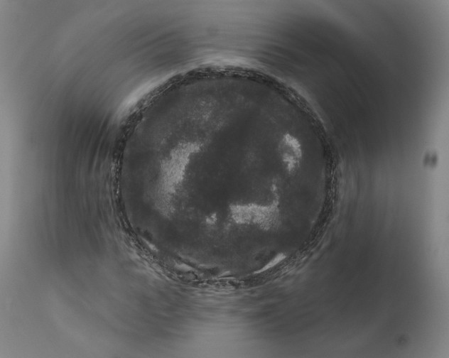 X0000111640919200908071338