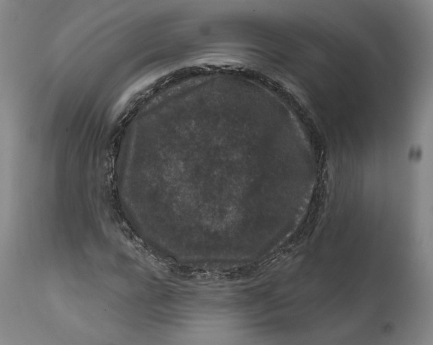 X0000111640920200908071338