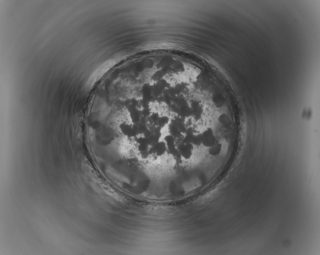 X0000111640921200908071338