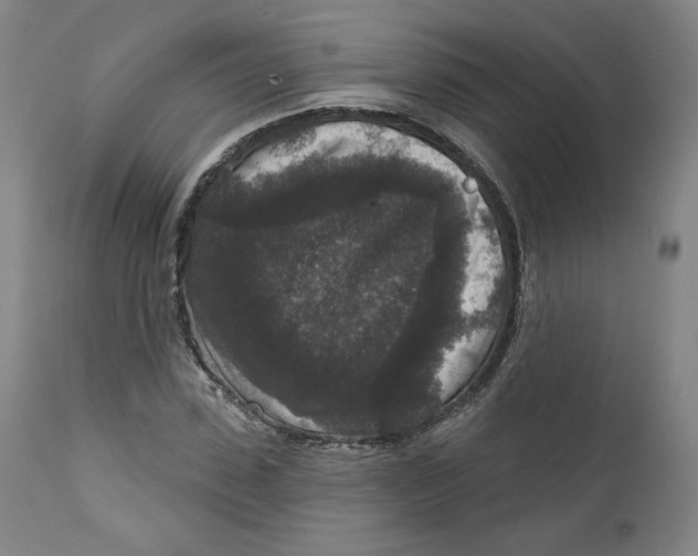 X0000111640923200908071338