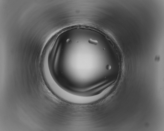 X0000111640924200908071338