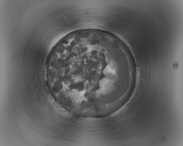 X0000111640925200908071338