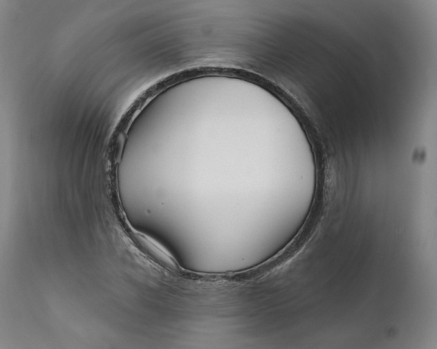 X0000111640926200908071338