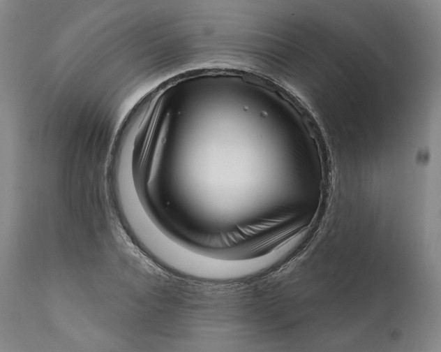 X0000111640928200908071338