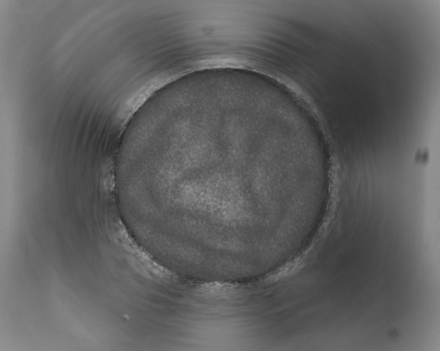 X0000111640929200908071338