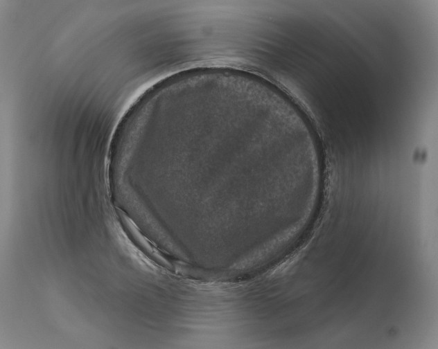 X0000111640932200908071338