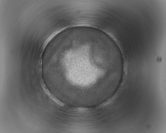 X0000111640933200908071338