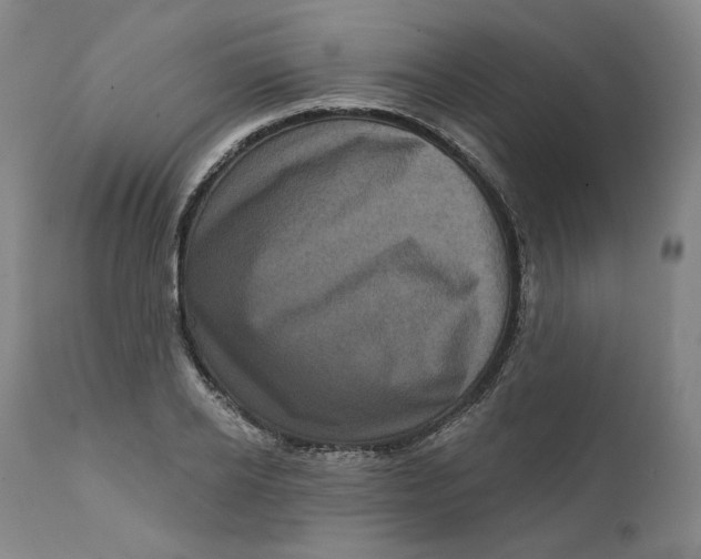 X0000111640934200908071338