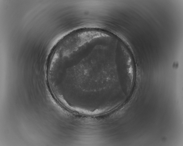 X0000111640935200908071338