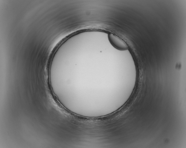 X0000111640936200908071338