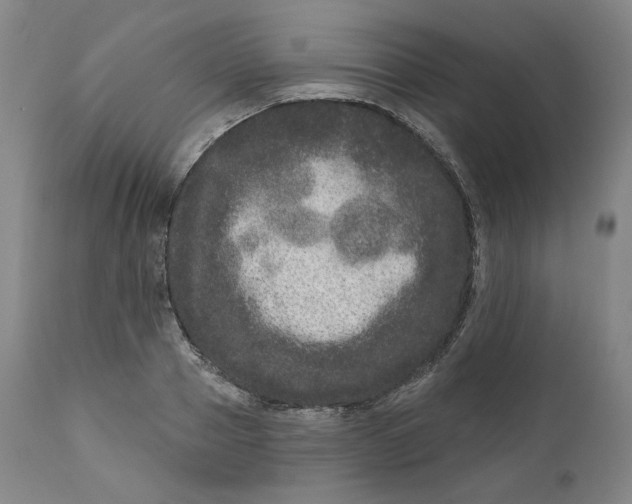 X0000111640937200908071338