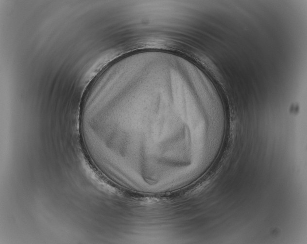 X0000111640938200908071338