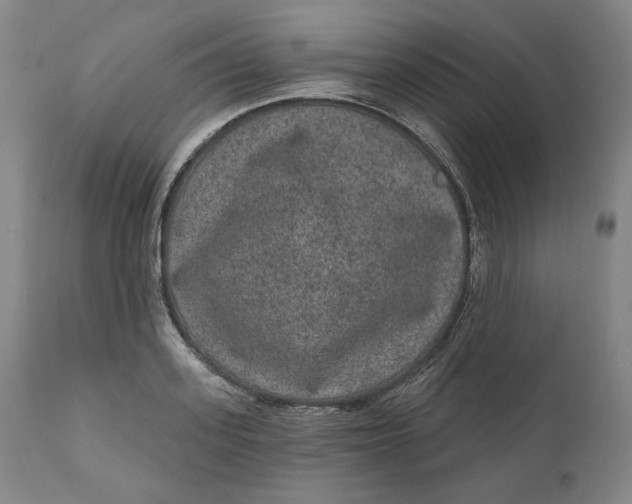 X0000111640939200908071338