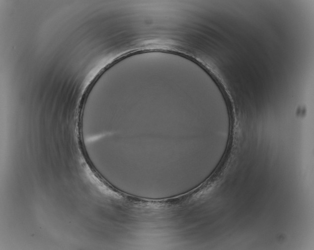 X0000111640941200908071338