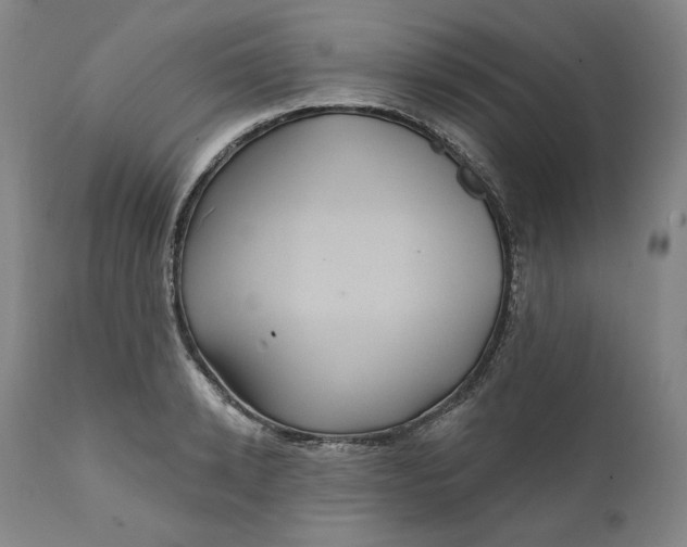 X0000111640942200908071338