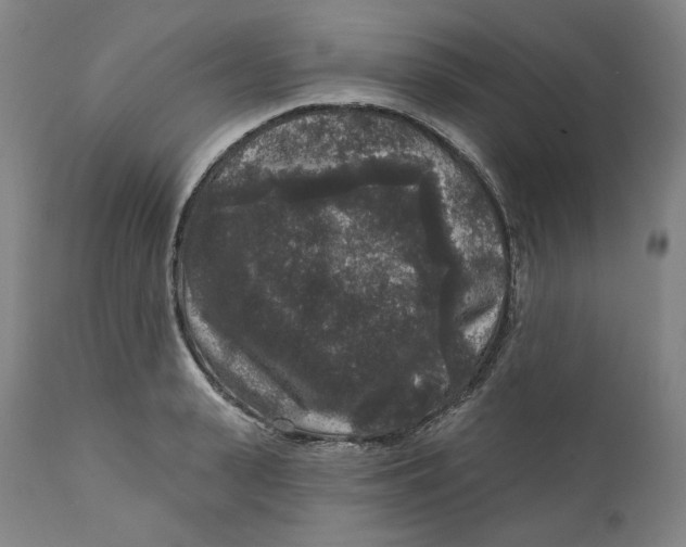 X0000111640943200908071339