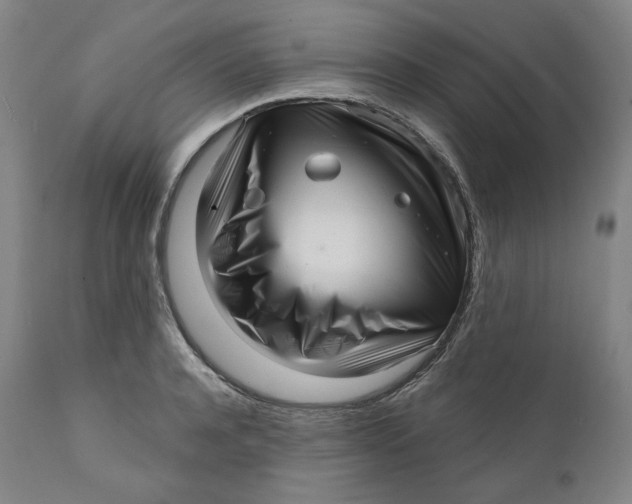 X0000111640944200908071339